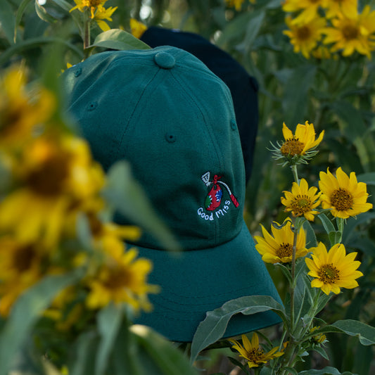 Iron Sack Logo Hat (Dark)